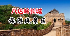 www日本黄色视频优物中国北京-八达岭长城旅游风景区